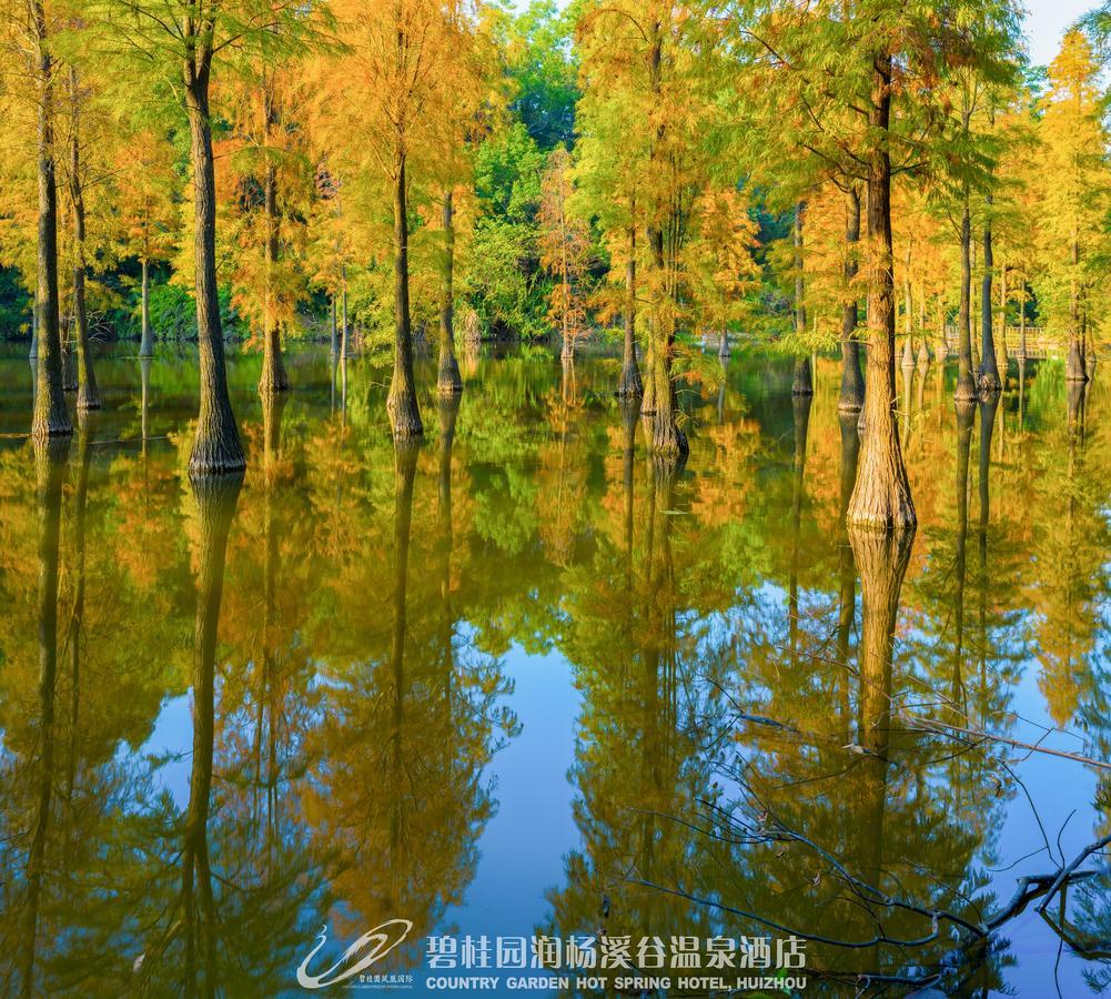 Country Garden Hot Spring Hotel Huizhou Huizhou  Exterior foto