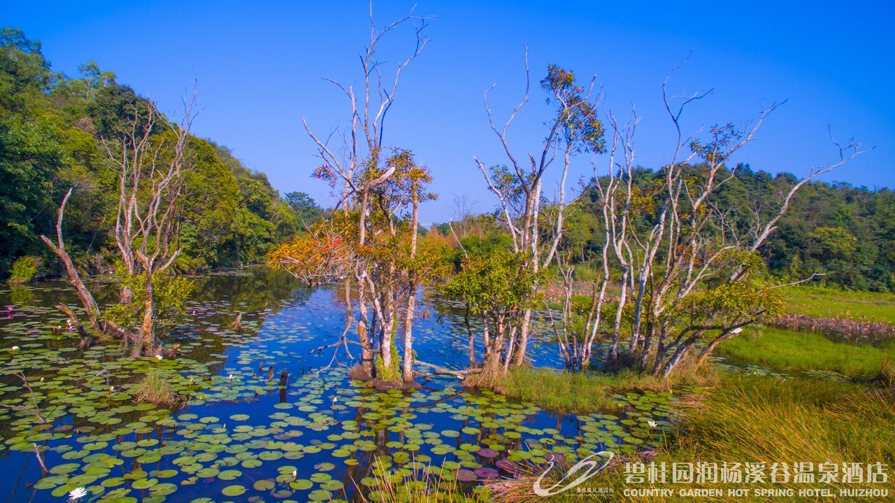 Country Garden Hot Spring Hotel Huizhou Huizhou  Exterior foto